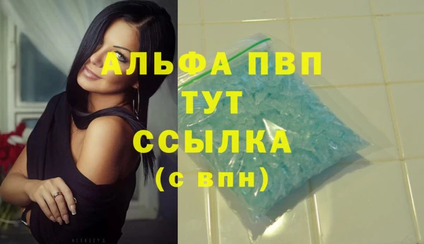 прущие грибы Белокуриха