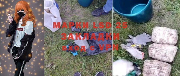 прущие грибы Белокуриха