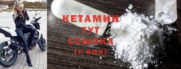 прущие грибы Белокуриха
