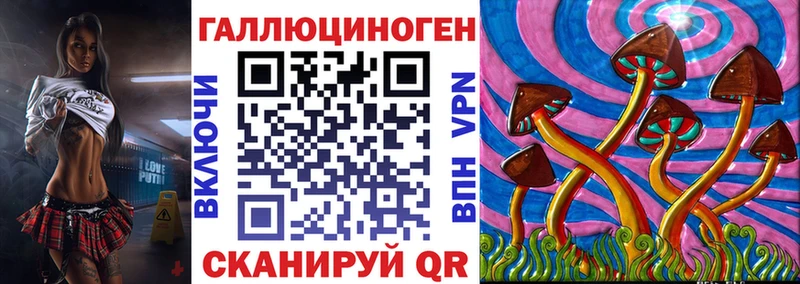 Псилоцибиновые грибы Psilocybe  Курильск 