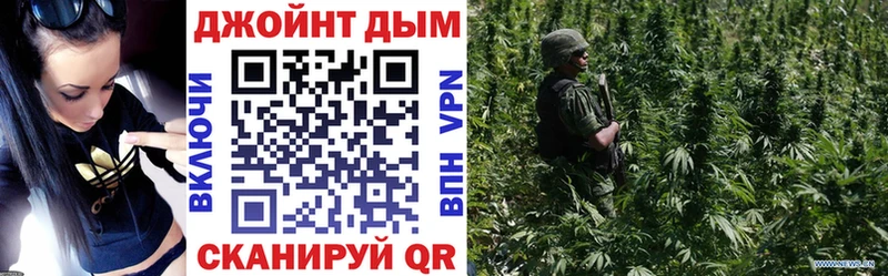 Каннабис план Курильск
